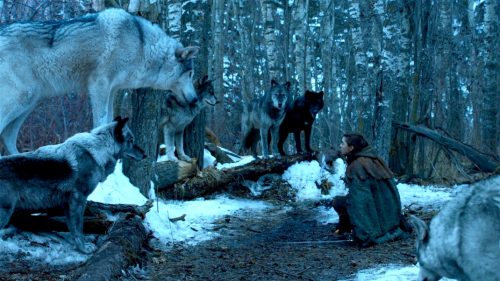 Nymeria and Arya (Maisie Williams) in Game of Thrones 7x02 - Stormborn