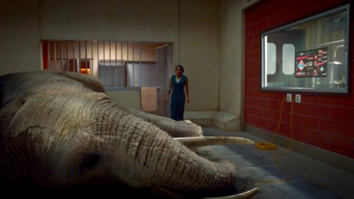 Regina King and The Elephant in the Room in WATCHMEN 1x07